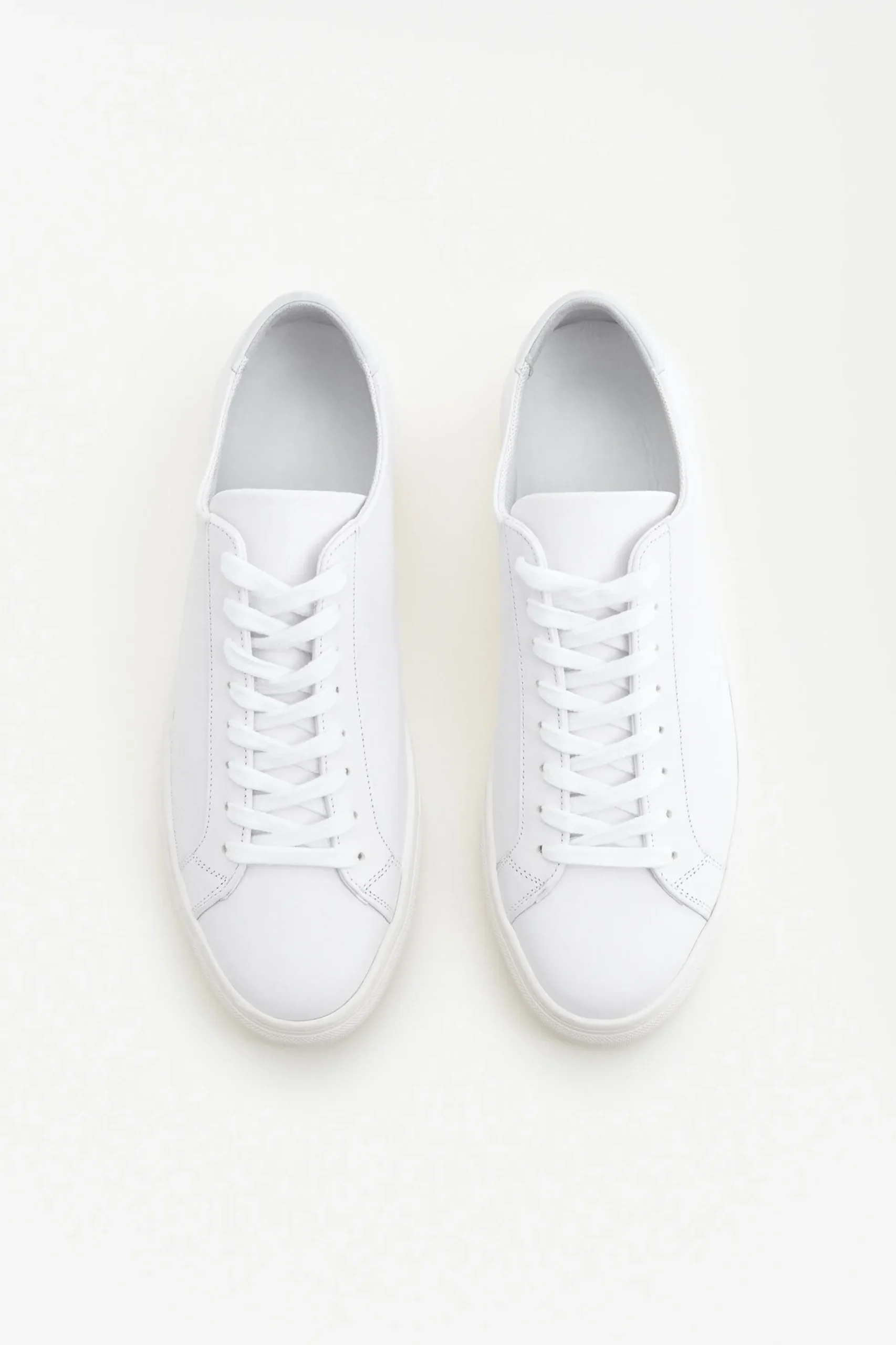 Morgan Sneakers
